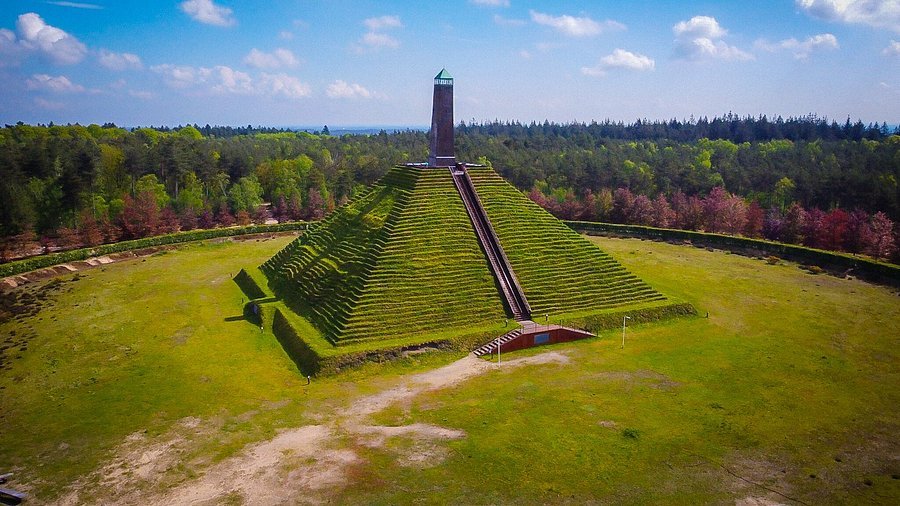Zonlicht door de bomen in een Nederlands bos in het voorjaar